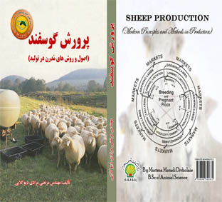 پرورش گوسفند (اصول و روشهای مدرن در تولید)